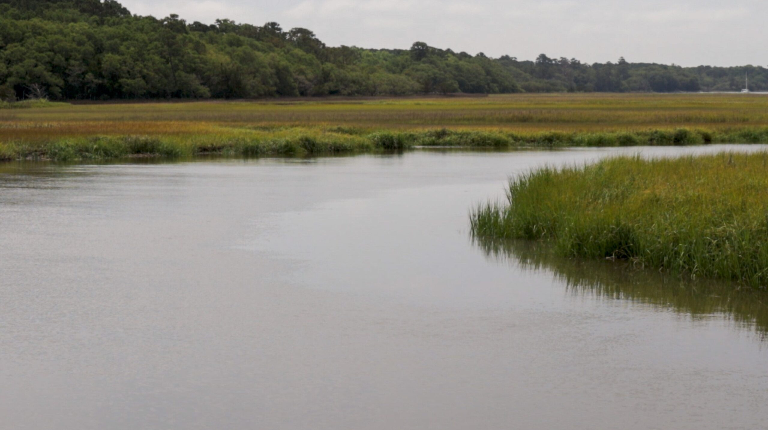 Charleston County | Gullah Geechee Seafood Trail