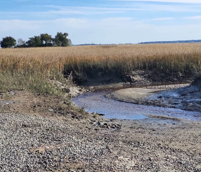 Charleston County | Gullah Geechee Seafood Trail
