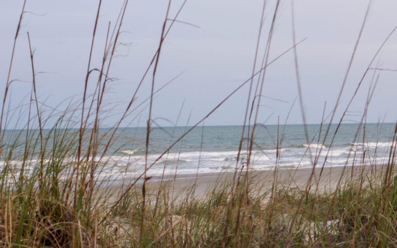 Dune view with beach in the background