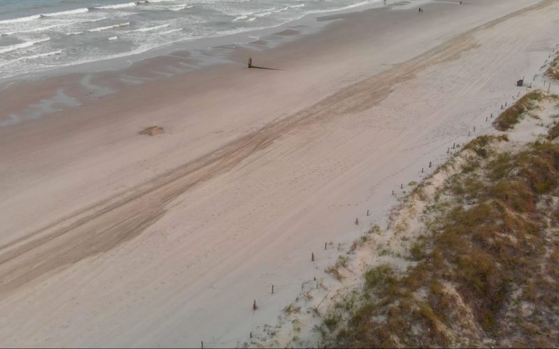 Aerial view of beach and dune